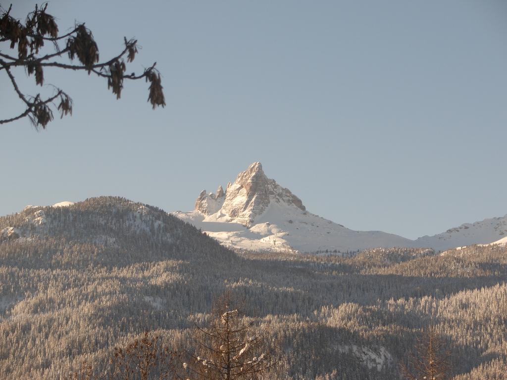 Hotel Villa Gaia Cortina d'Ampezzo Bagian luar foto